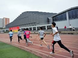 球迷：这就是我爱篮球的原因